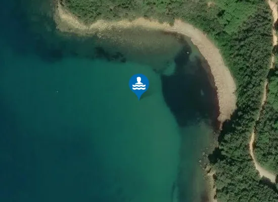 Satellite image of CALA FRANCESE