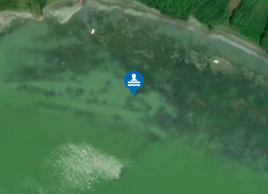 Satellite image of LA DARSENA