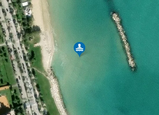 Satellite image of 250 M NORD FOCE TESINO