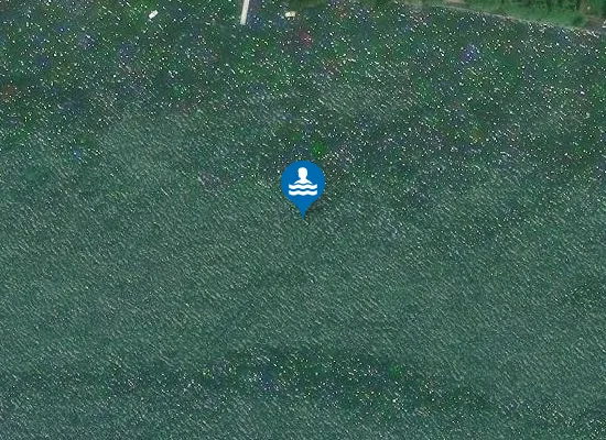 Satellite image of FOSSO DEL PIANALE