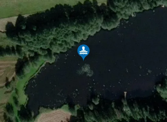 Satellite image of VOGT HOLZMUEHLEWEIHER