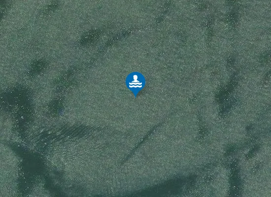 Satellite image of RISTORANTE SILVANO