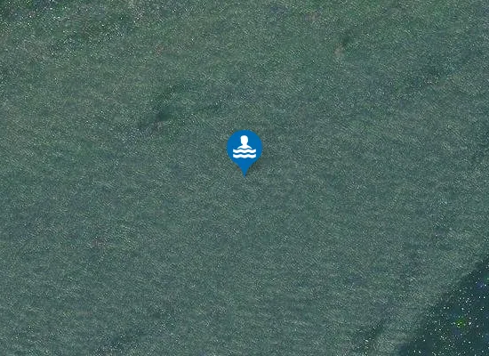 Satellite image of TAMURE'