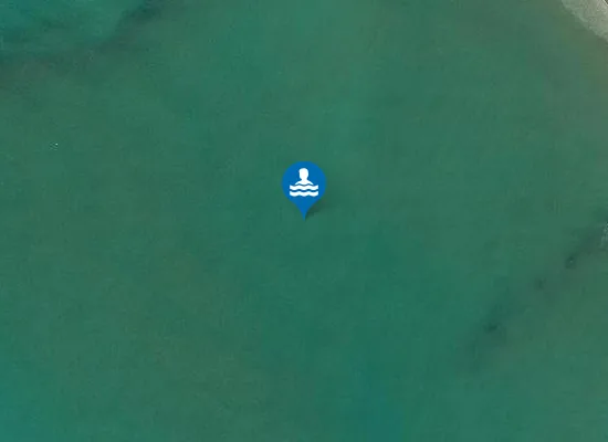 Satellite image of PINETA GRANDE