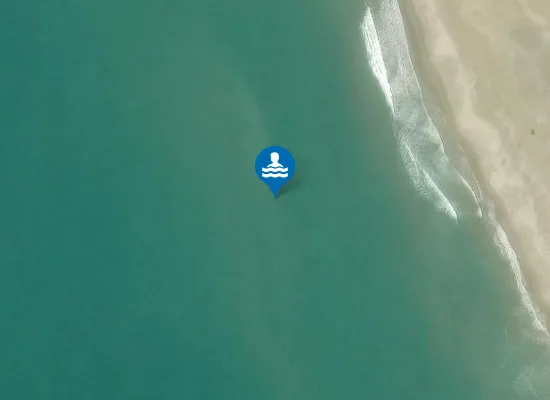 Satellite image of PINETA DI PATRIA SUD