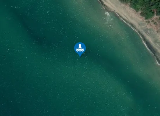 Satellite image of LA PINETA