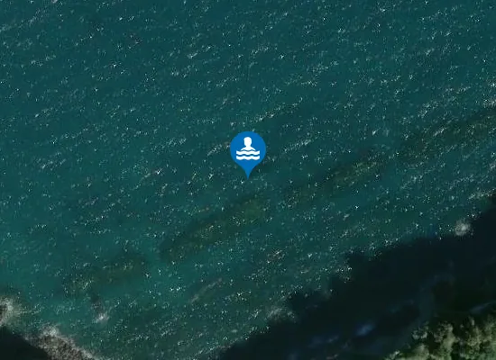 Satellite image of SPIAGGIA DEGLI INGLESI