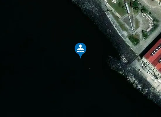 Satellite image of PIETRARSA