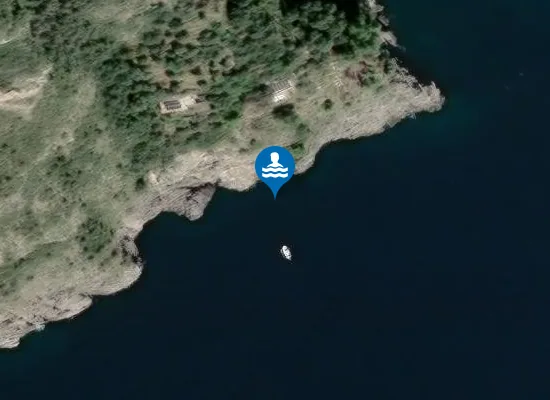 Satellite image of PUNTA TASCHIERO