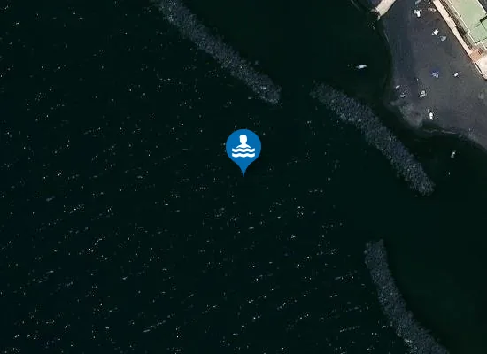 Satellite image of LITORANEA SUD