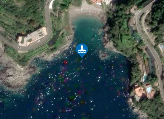 Satellite image of SPIAGGIA SALICERCHIE