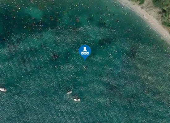 Satellite image of TRA PUNTA CALEO E TORRE LA PUNTA