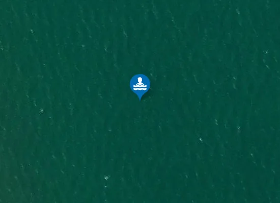 Satellite image of LIDO IPPOCAMPO