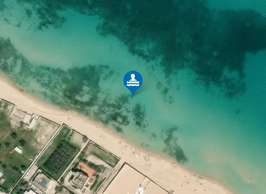 Satellite image of IUMO