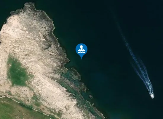 Satellite image of EX FOGNA CIT.NA POLIGNANO 500 MT NORD