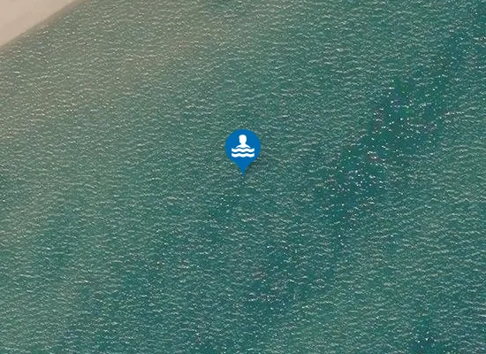Satellite image of SPIAGGIA TORRE DELLA MARINA