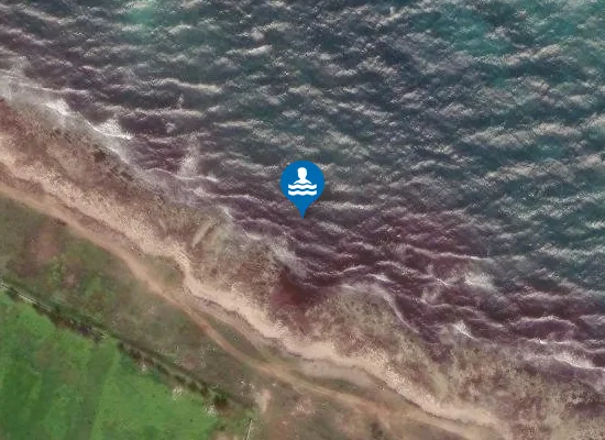 Satellite image of PUNTA BUFALORIA