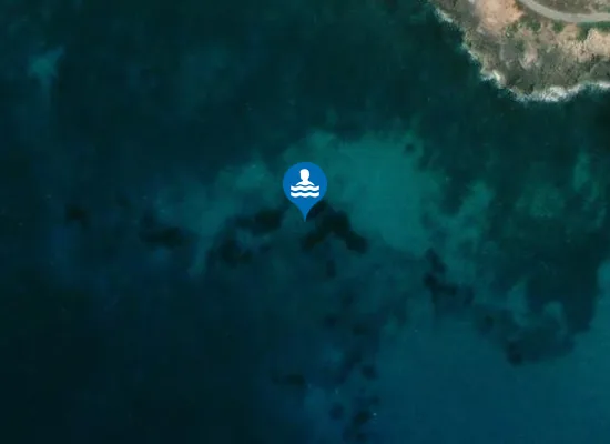 Satellite image of LA PILELLA