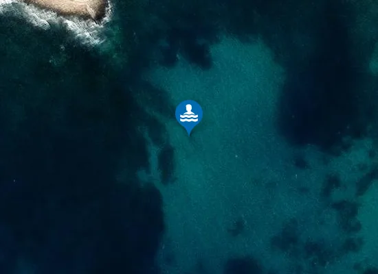 Satellite image of LE FELLONICHE