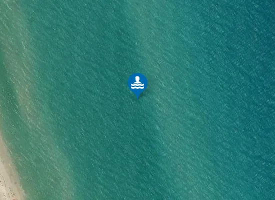 Satellite image of LIDO DEI PINI