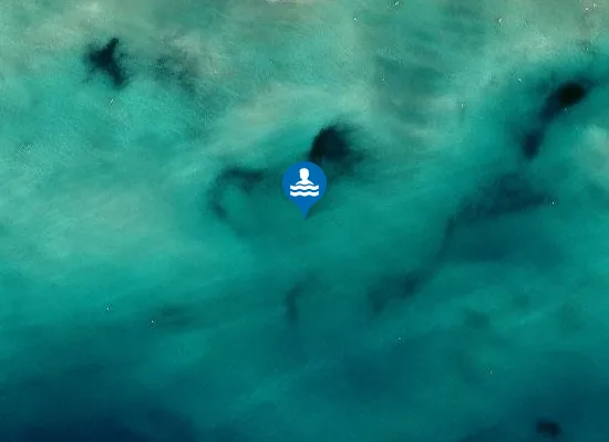 Satellite image of 300 MT SUD PUNTA PROSCIUTTO