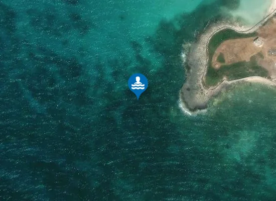 Satellite image of FOCE DEL BACINO TAMARI