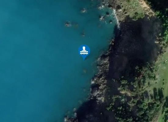 Satellite image of VALLONE DEI CARPINI