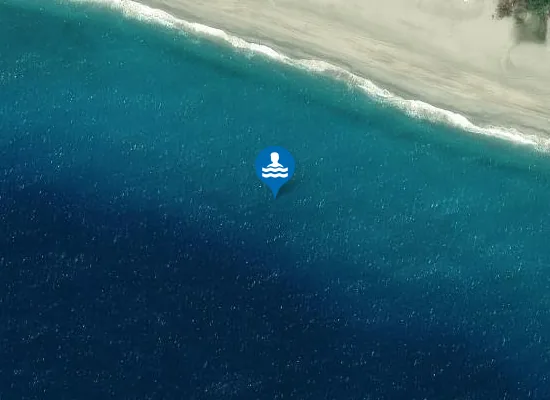 Satellite image of TORRE DEL SALTO