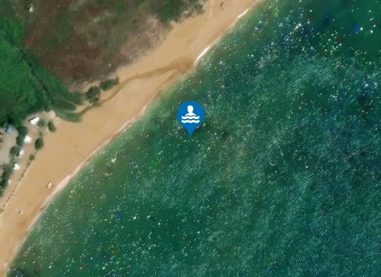 Satellite image of CAMPING ALFIERI