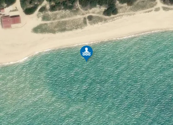 Satellite image of EUCALIPTUS