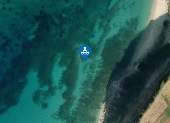 Satellite image of SPIAGGIA TORRE MARINA