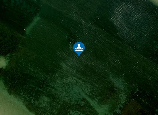 Satellite view of ALTE DONAU, STRANDBAD