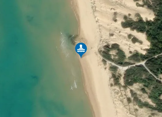 Satellite image of SPIAGGIA FORESTALE