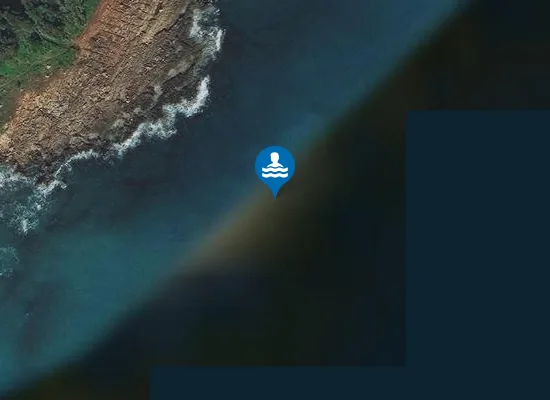Satellite image of PUNTA DEL CANE