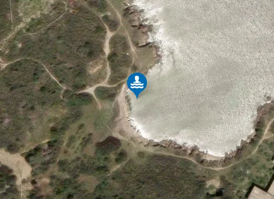 Satellite image of SPIAGGIA RIMBOSCHIMENTO