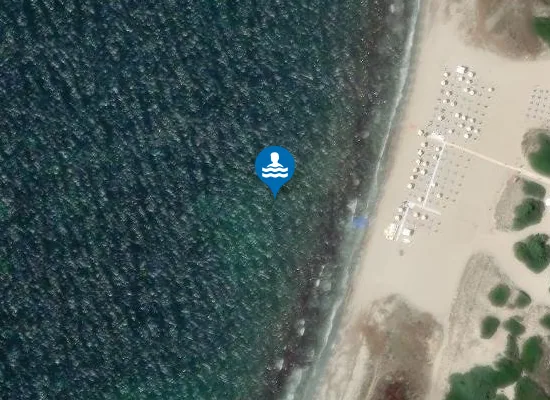 Satellite image of ARBOREA STRADA 24 ALABIRDI