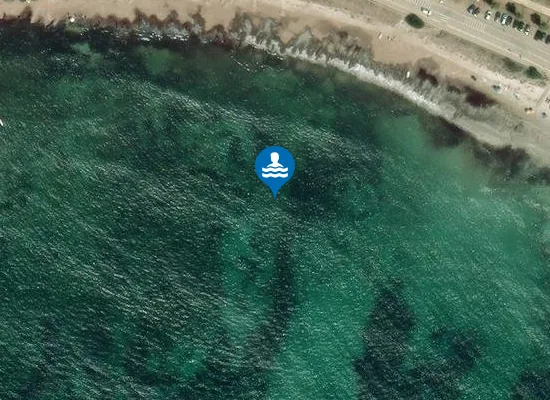 Satellite image of CALA SALINE