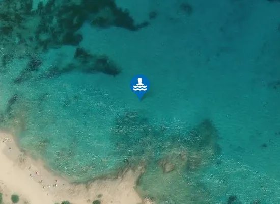 Satellite image of FOCE RIO VIGNOLA