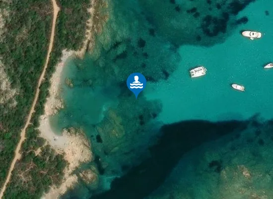 Satellite image of PORTO LISCIA