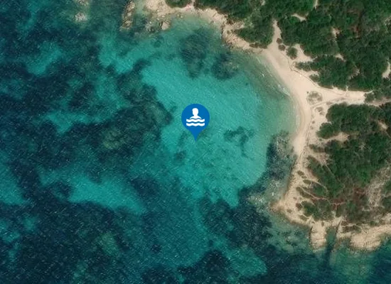 Satellite image of CAPRICCIOLI