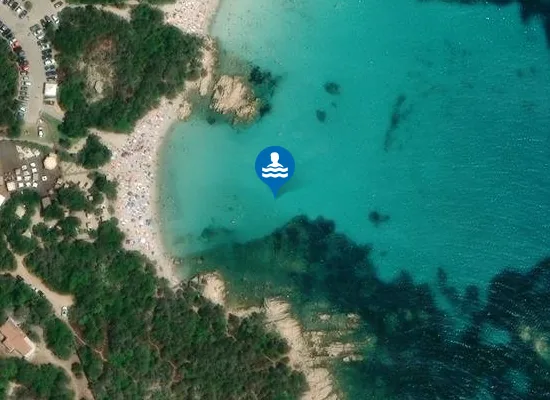 Satellite image of CAPRICCIOLI PRIMO