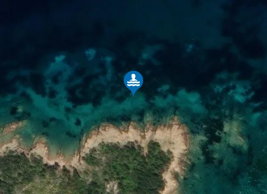 Satellite image of CALA PUNTA SALINE