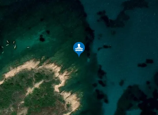 Satellite image of PUNTA CORALLINA