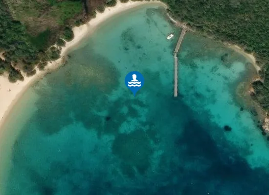 Satellite image of VENA LONGA