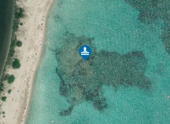 Satellite image of SPIAGGIA BRANDINCHI