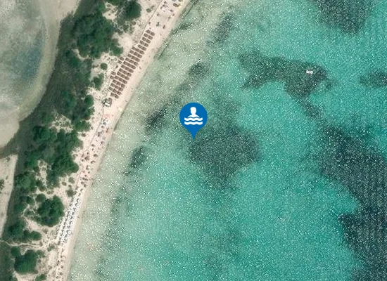 Satellite image of SPIAGGIA BRANDINCHI 1