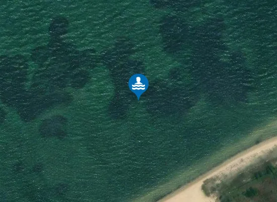 Satellite image of CUSSORGIA