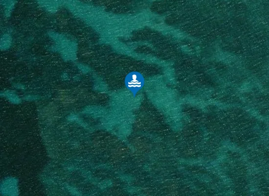Satellite image of PUNTA S ALIGA