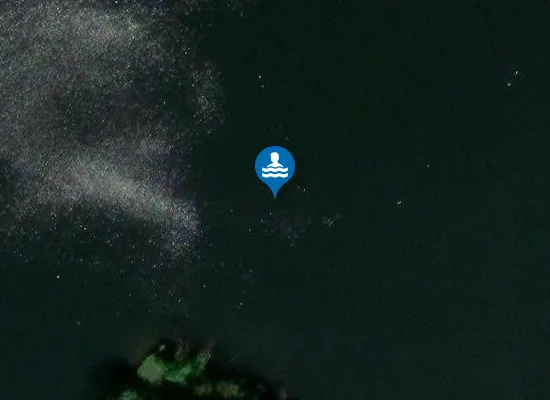 Satellite image of DE LEIJEN