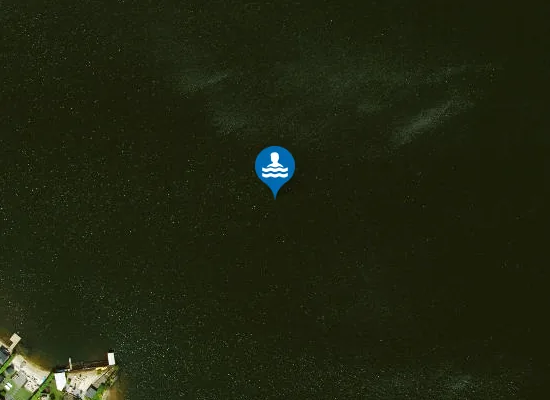 Satellite image of DE VLEGGE